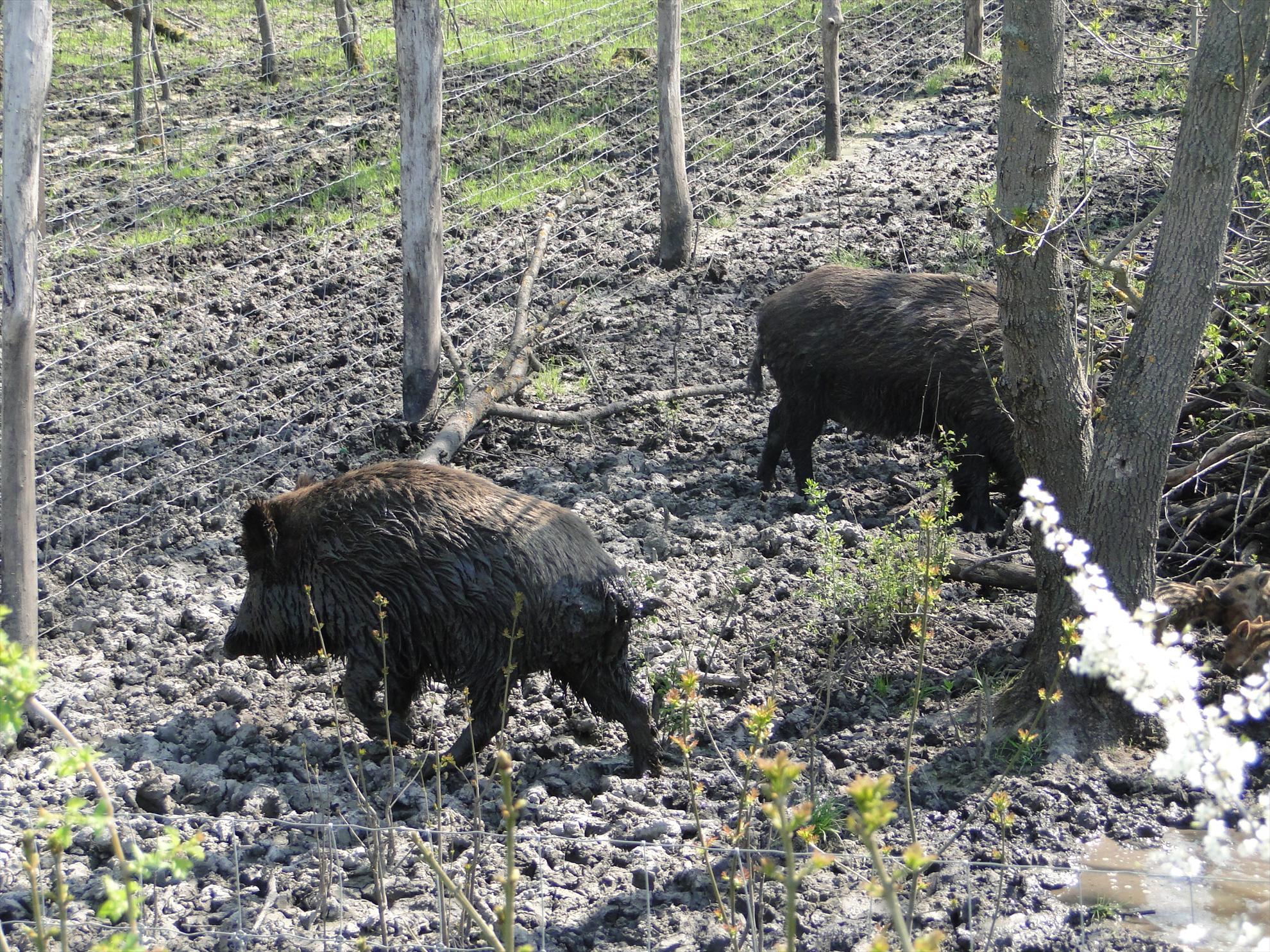 Derek - dsc08318.JPG